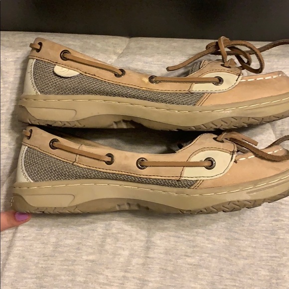 Sperry Angelfish - Picture 7 of 7